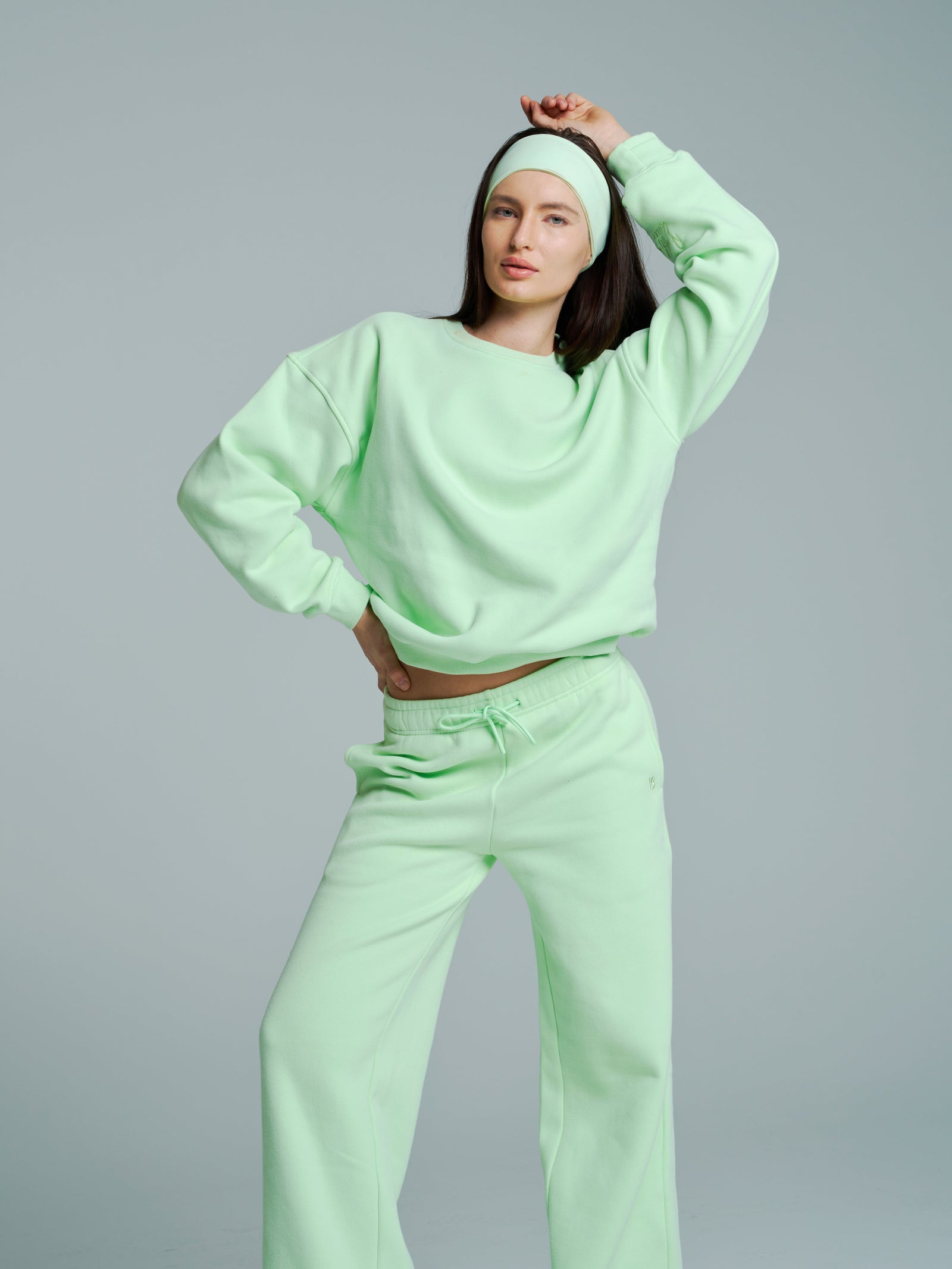 Plush Fleece Crew Pullover - Honeydew