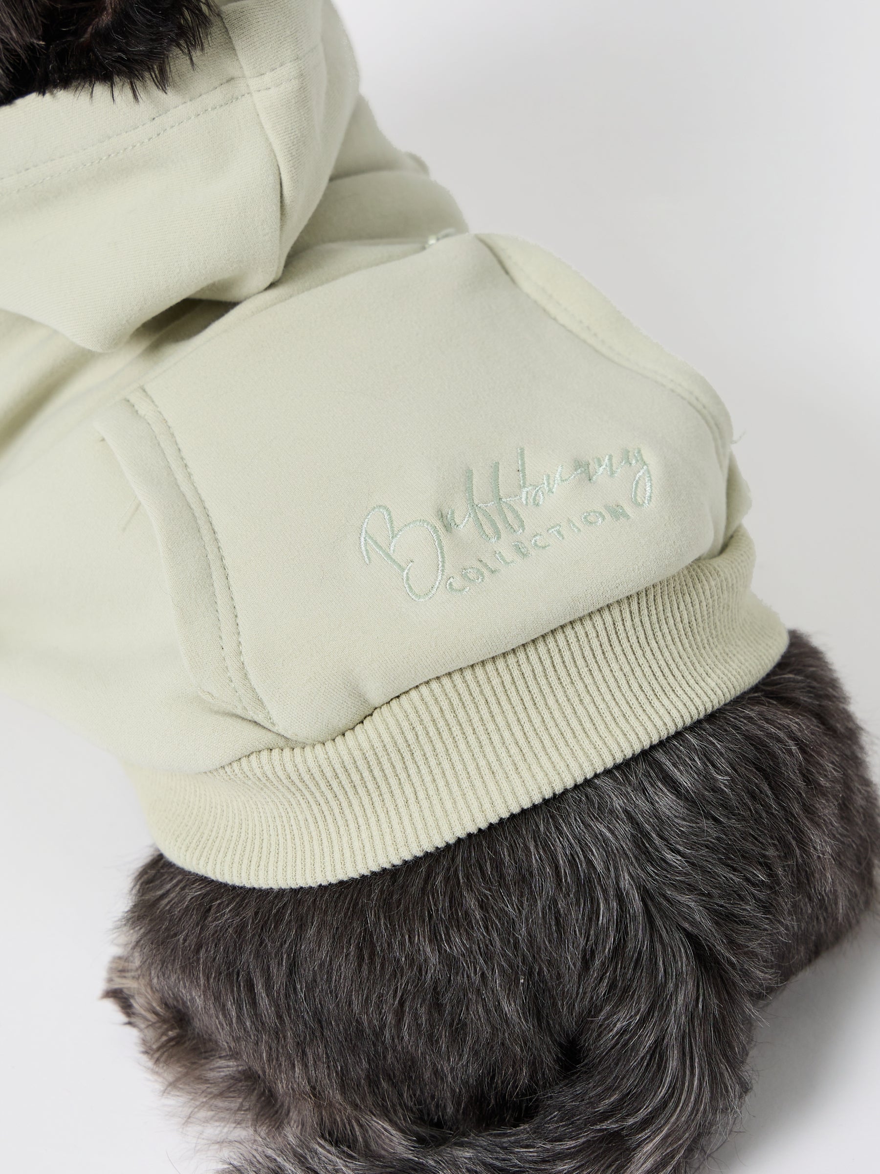 Dog Cloud Hoodie - Pistachio