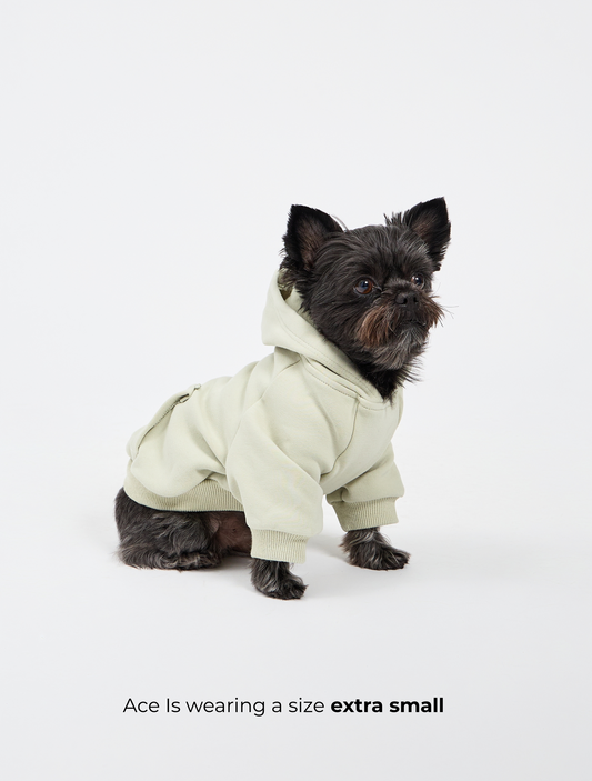 Dog Cloud Hoodie - Pistachio