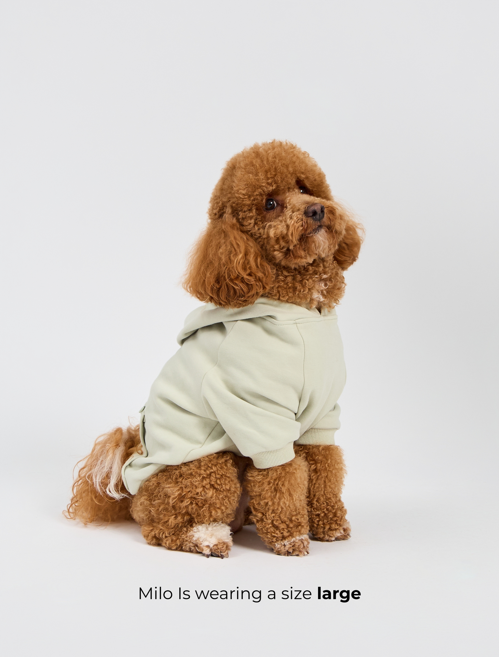 Dog Cloud Hoodie - Pistachio