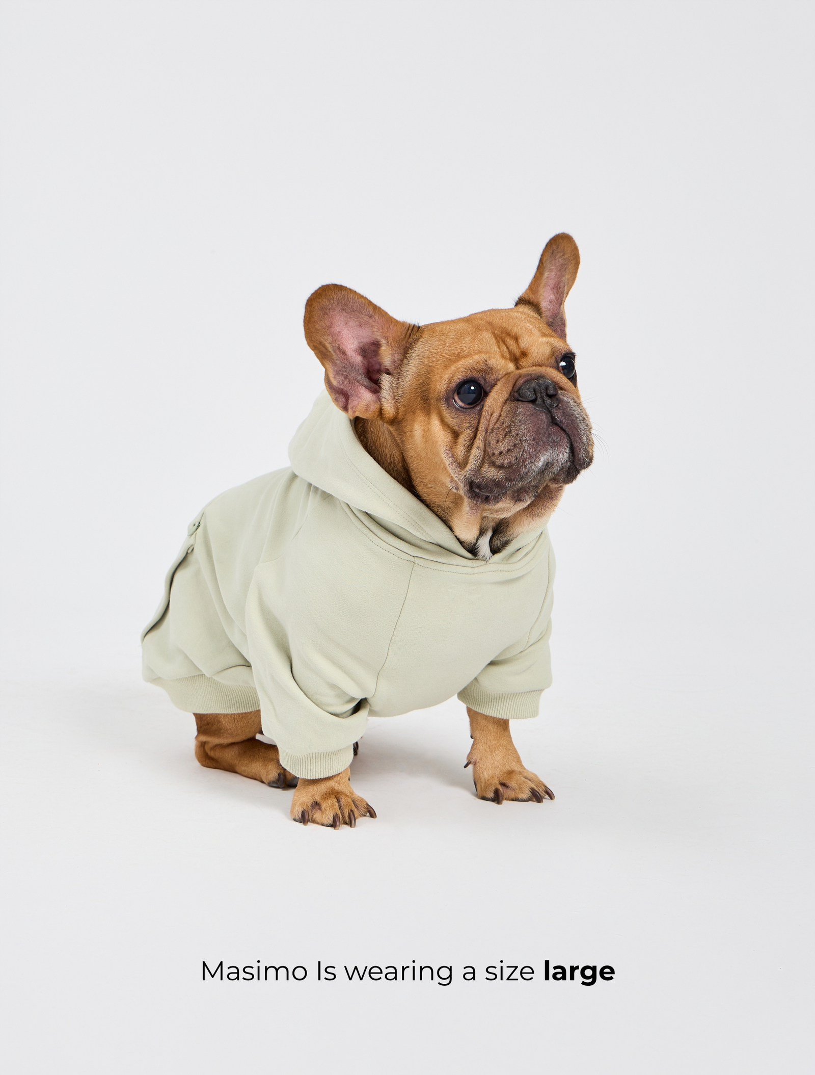 Dog Cloud Hoodie - Pistachio